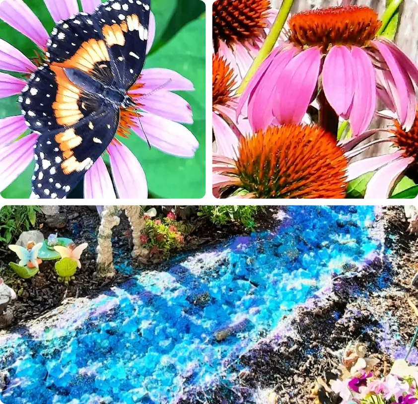 Butterfly, flowers, and a vibrant blue stream.